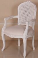 FW-806 Rattan Arm Chair